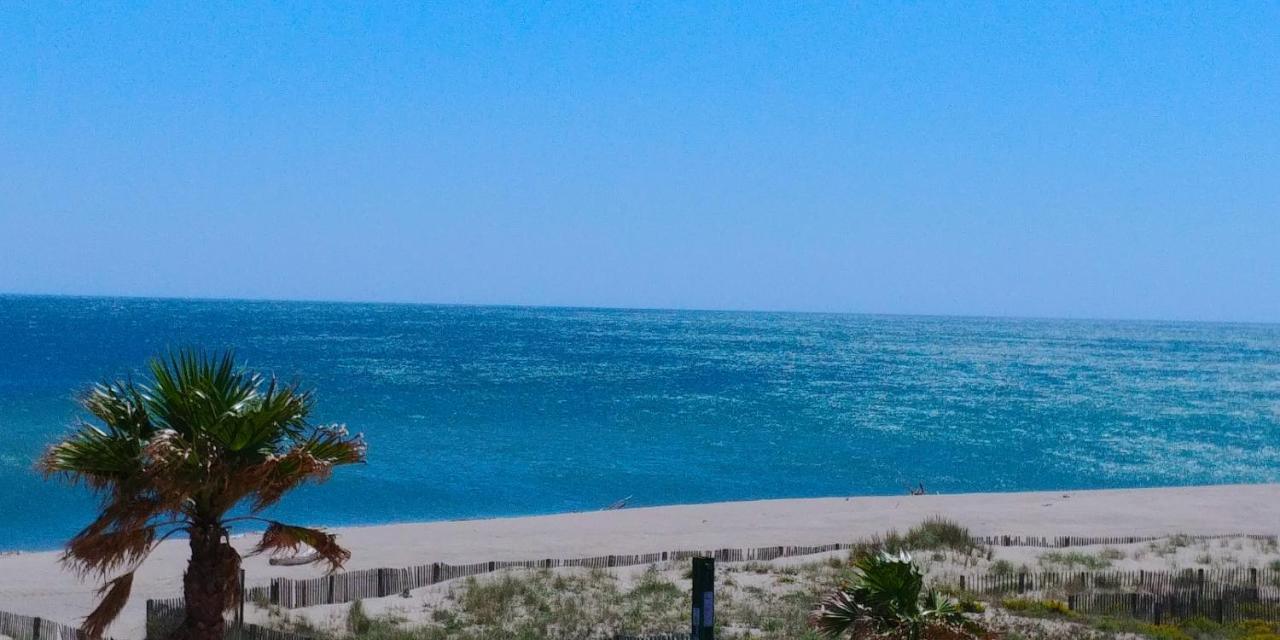 Vue Mer Panoramique Wifi Gratuit Le Barcarès Екстериор снимка