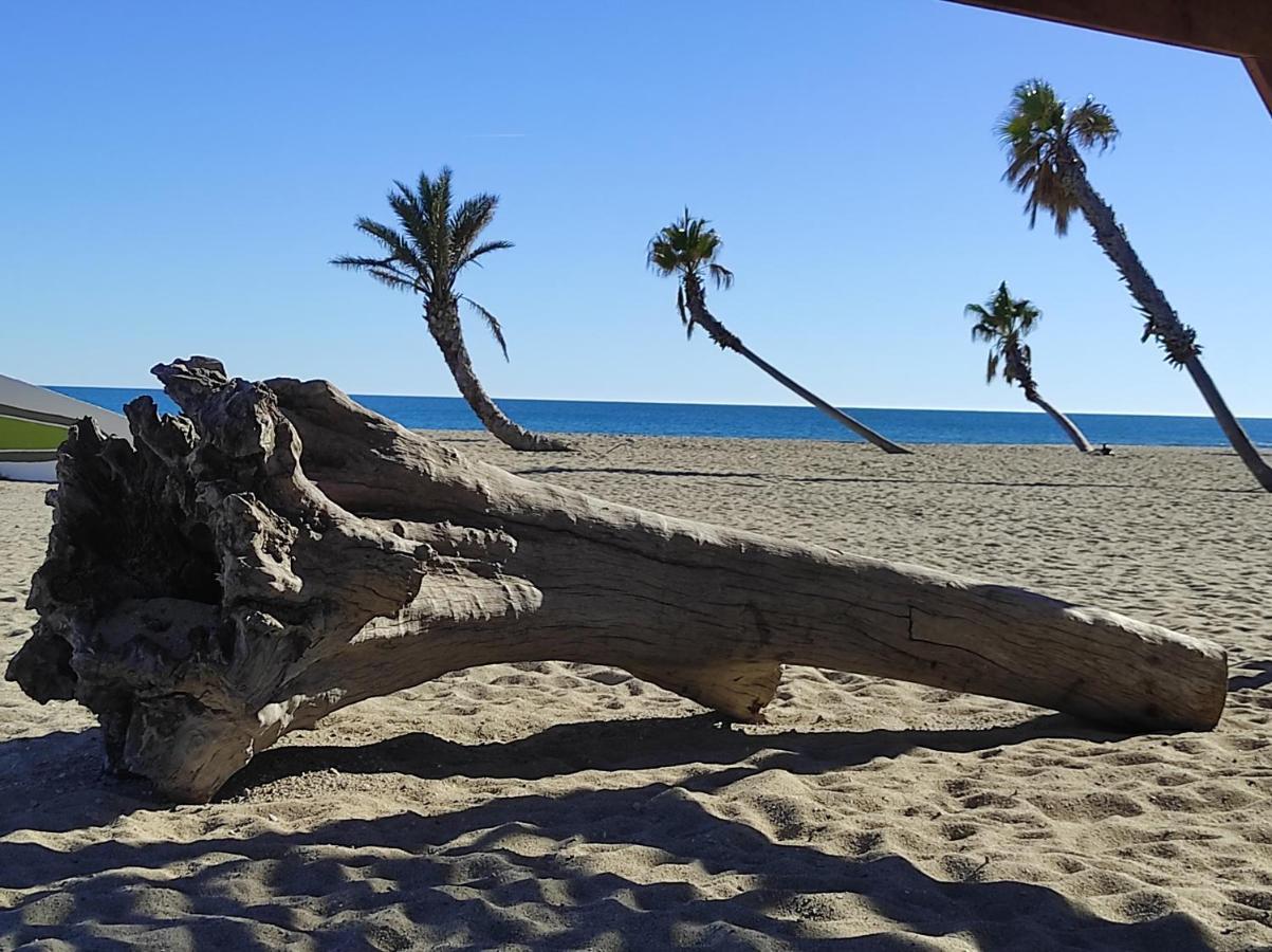 Vue Mer Panoramique Wifi Gratuit Le Barcarès Екстериор снимка